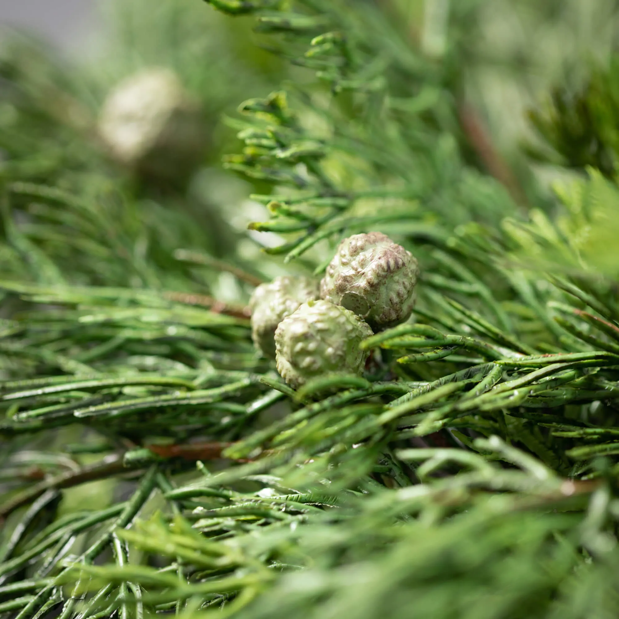 Lush Green Winter Wreath with Cypress & Berry Accents - 23 Inches High - Ideal for Front Door Decor