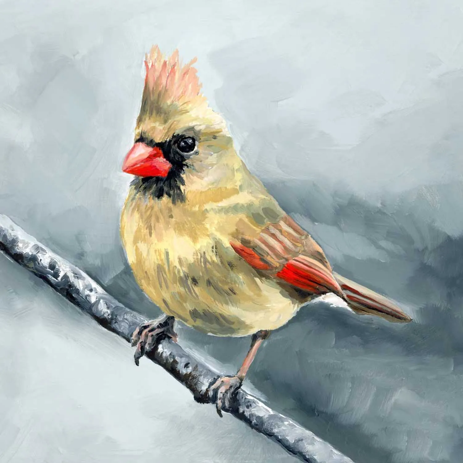 Avian Spotlight - Cardinal Canvas Wall Art