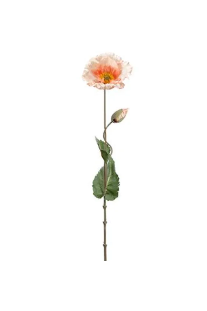 Coral Poppy Stem