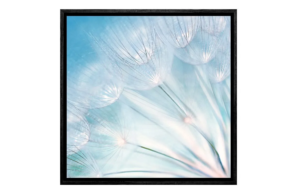 Dandelion | Canvas Art Print