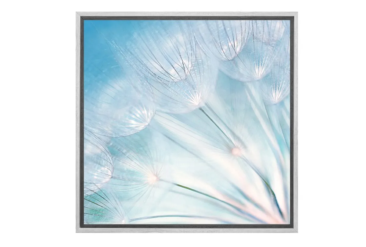 Dandelion | Canvas Art Print