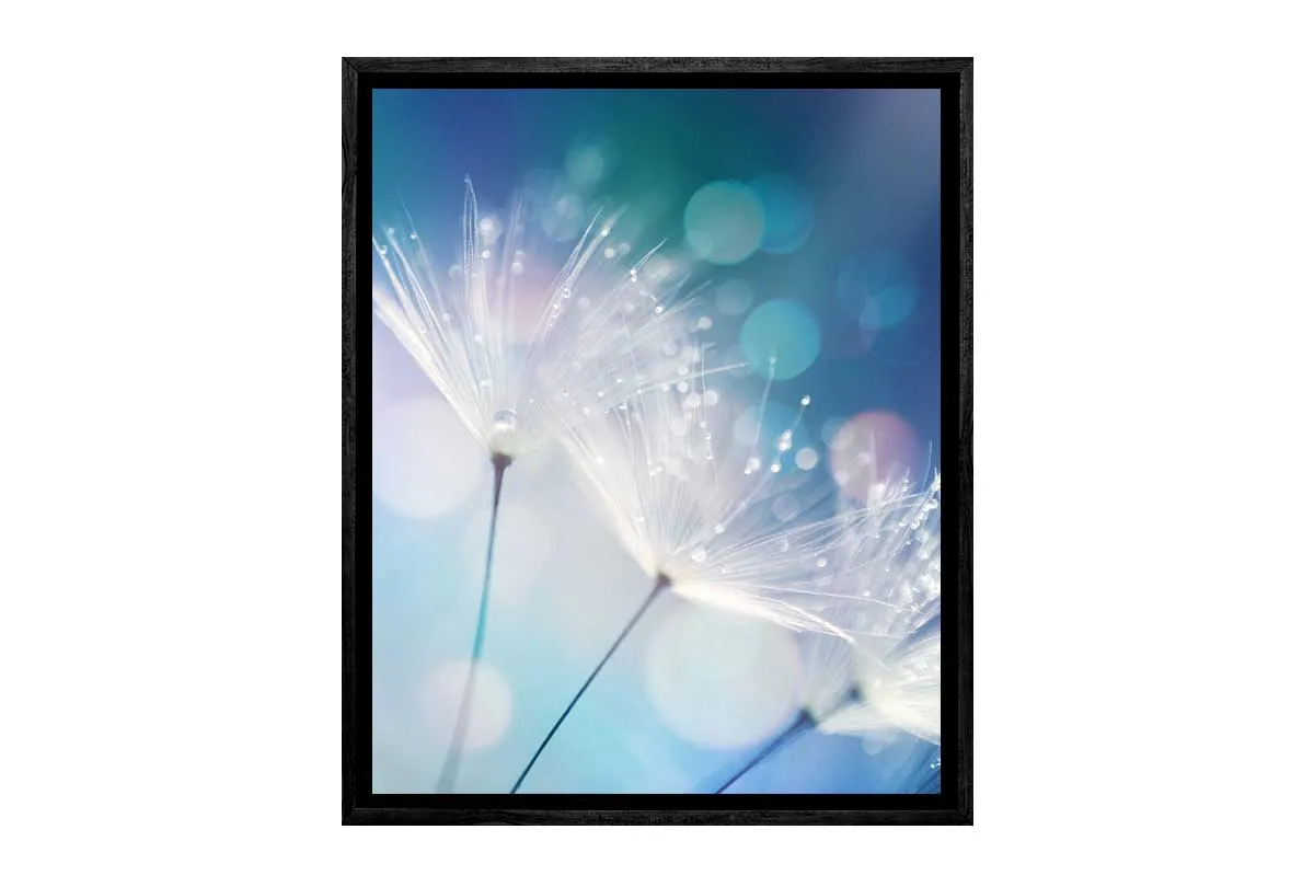 Dandelion Macro | Canvas Wall Art Print