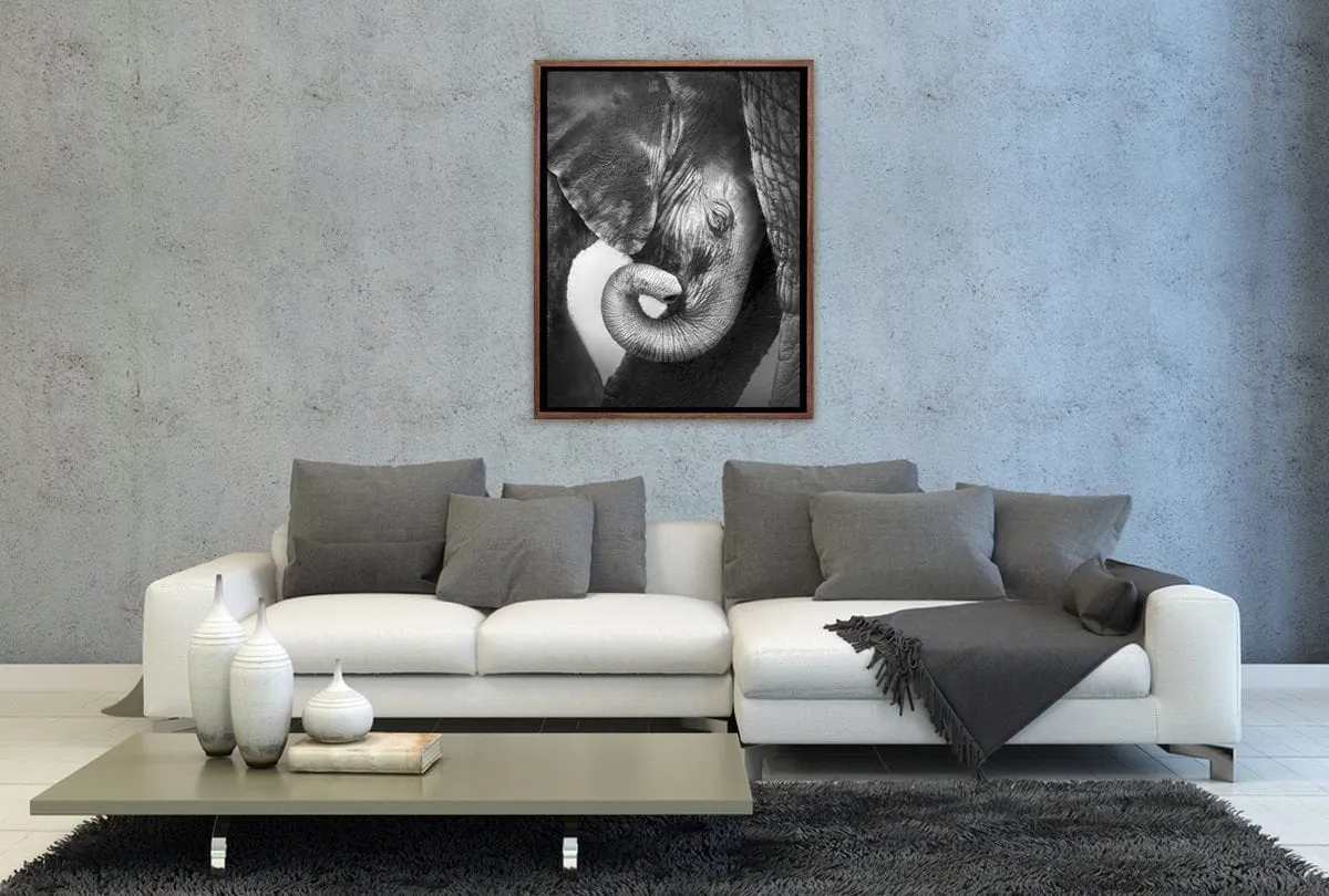 Elephant Calf | Animal Wall Art Print