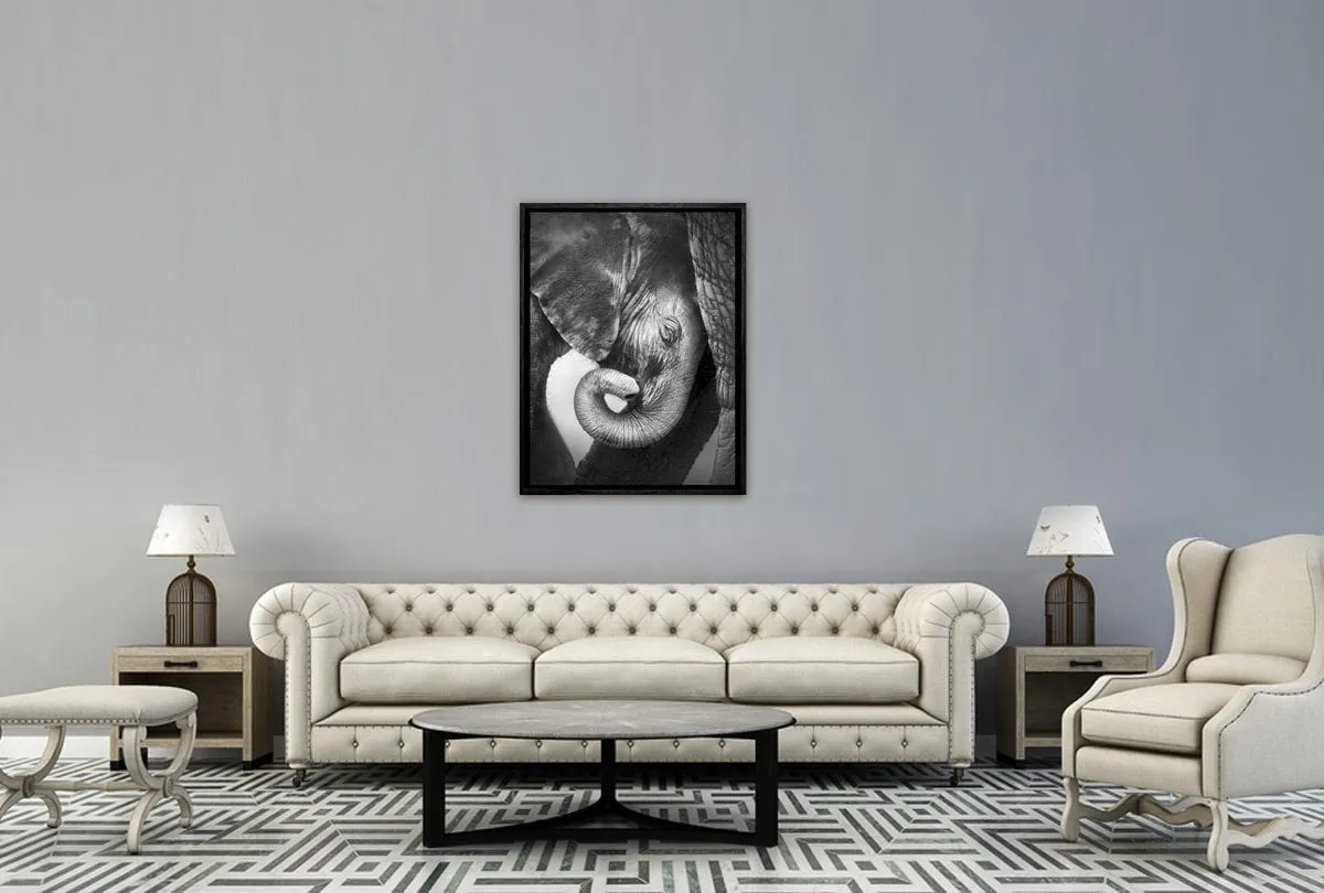 Elephant Calf | Animal Wall Art Print