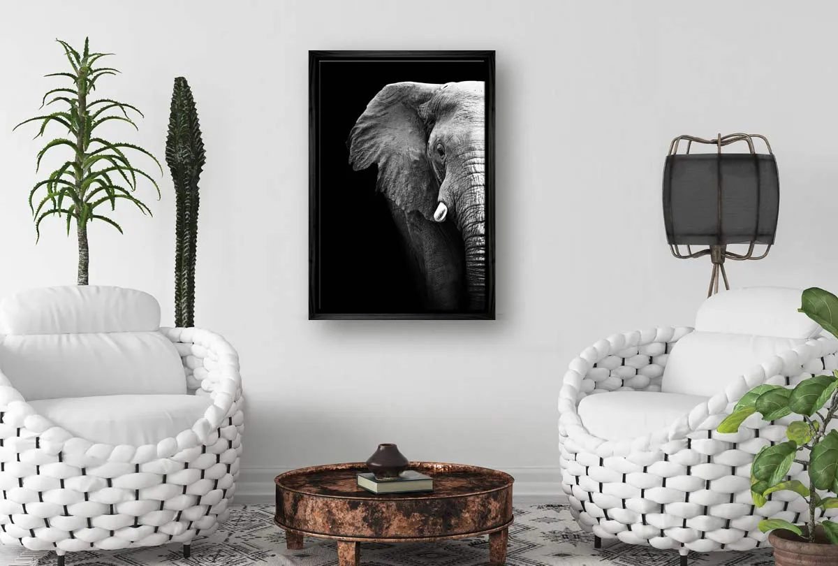 Elephant Close-Up | Animal Canvas Wall Art Print