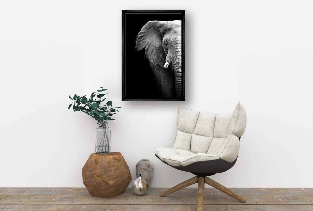 Elephant Close-Up | Animal Canvas Wall Art Print