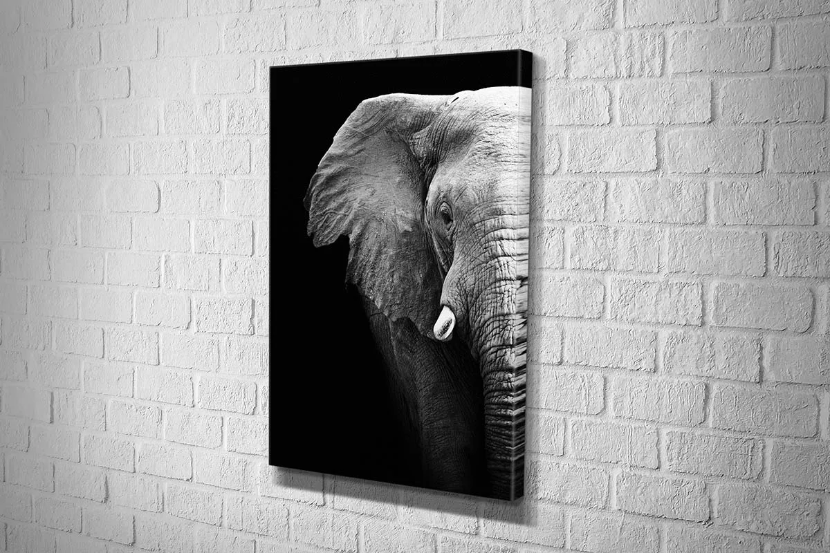 Elephant Close-Up | Animal Canvas Wall Art Print