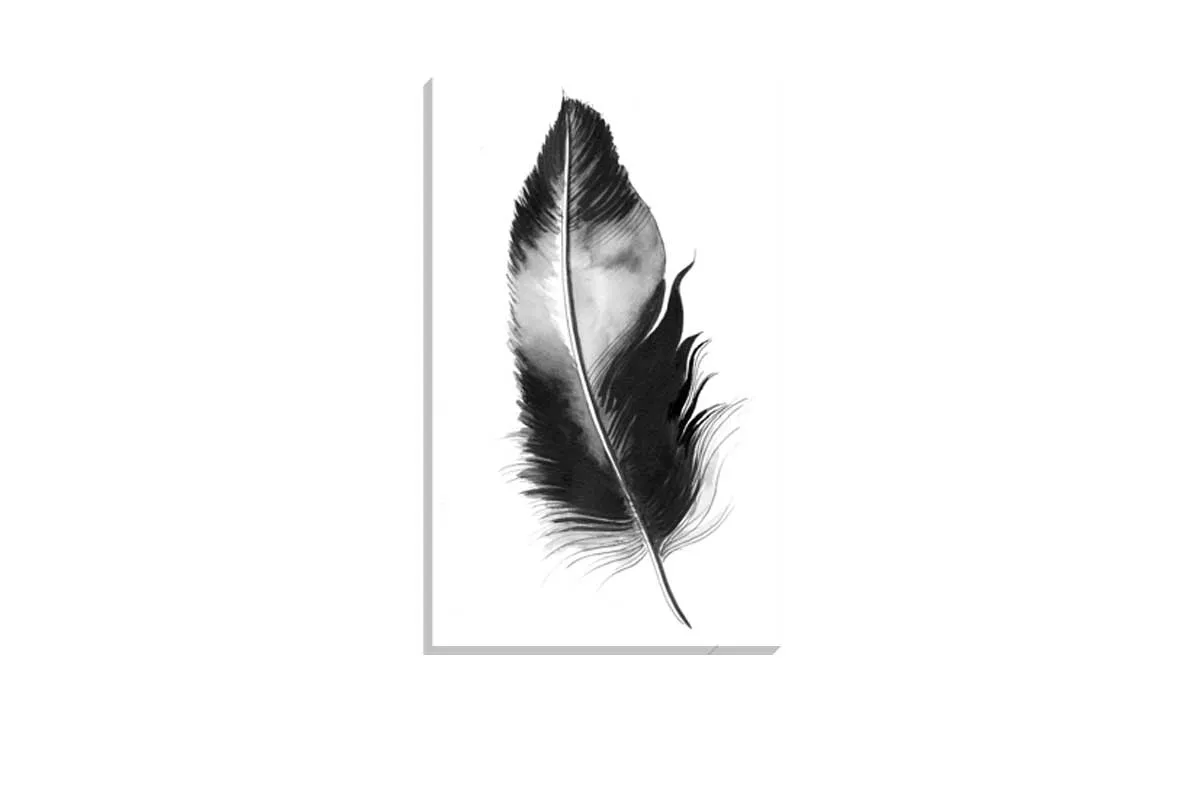 Feather in Black and White | Feather Wall Art