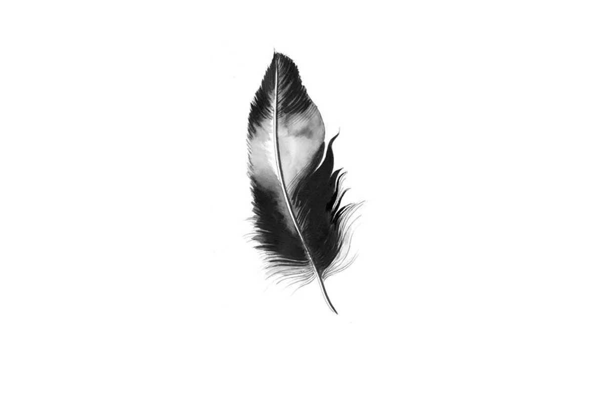 Feather in Black and White | Feather Wall Art