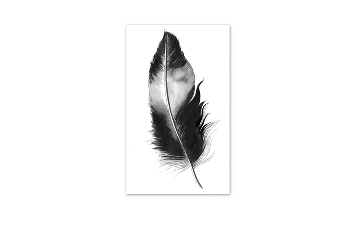 Feather in Black and White | Feather Wall Art