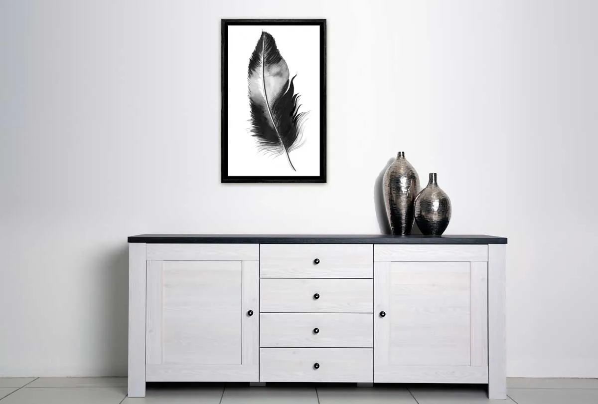 Feather in Black and White | Feather Wall Art