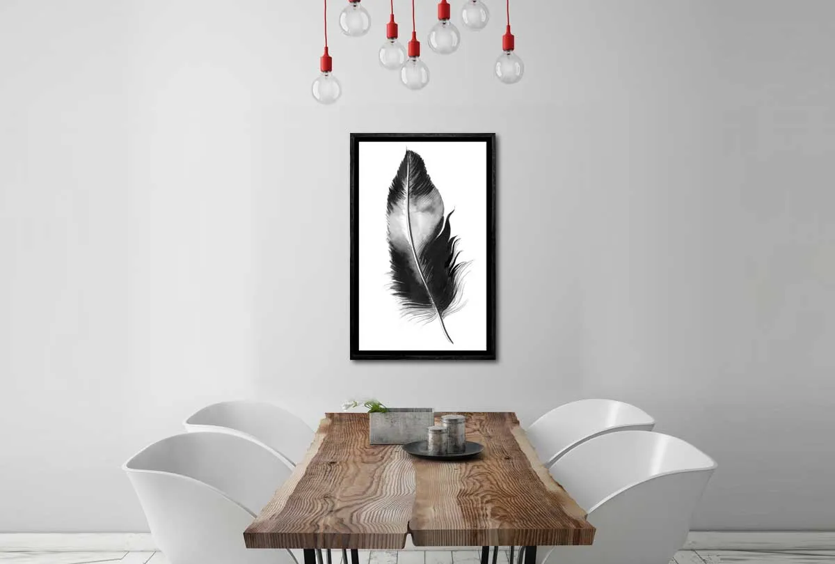 Feather in Black and White | Feather Wall Art