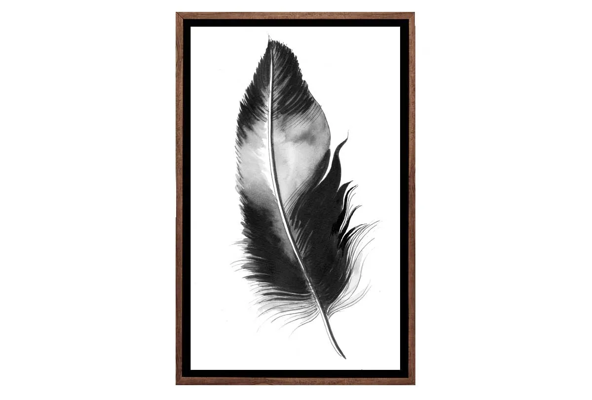 Feather in Black and White | Feather Wall Art