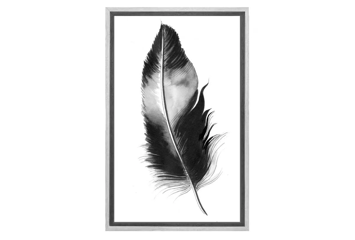 Feather in Black and White | Feather Wall Art