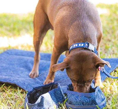 Ford Bronco Pet Accessories Bundle