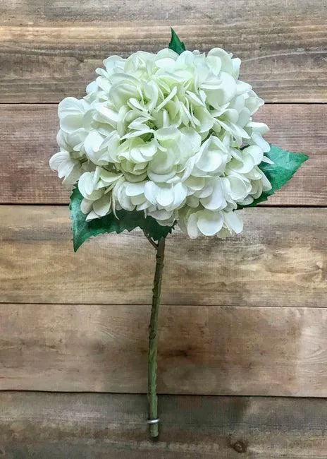 Fresh Touch Green Hydrangea