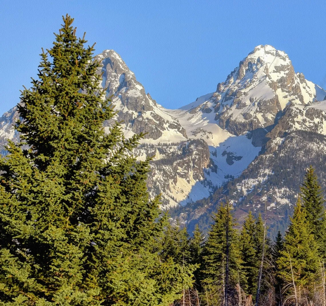 Grand Tetons National Park on Canvas