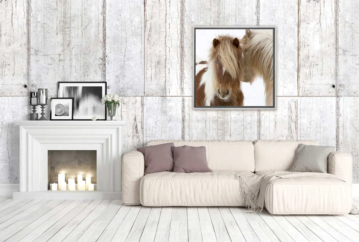 Icelandic Horses 3 | Canvas Wall Art Print