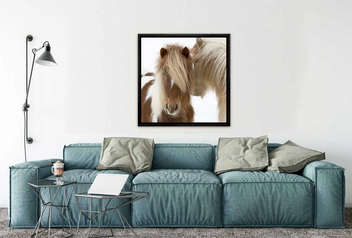 Icelandic Horses 3 | Canvas Wall Art Print