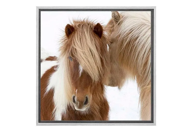 Icelandic Horses 3 | Canvas Wall Art Print