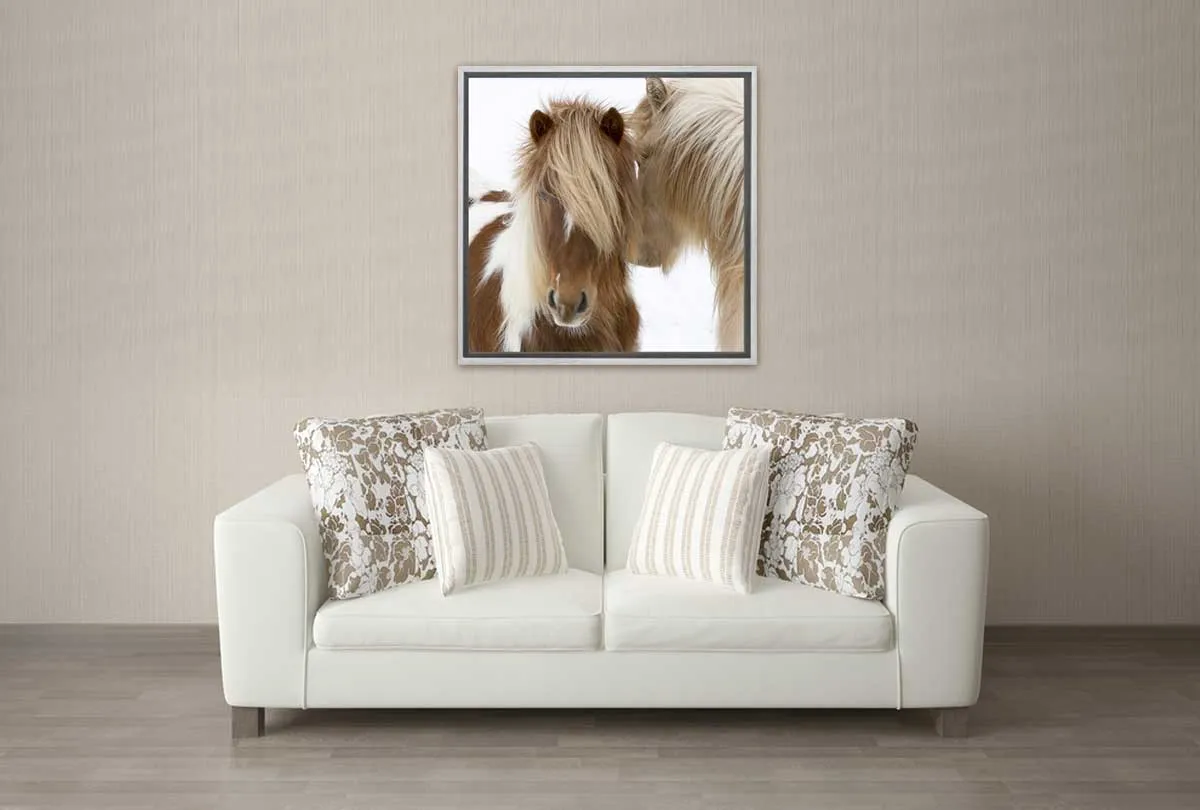 Icelandic Horses 3 | Canvas Wall Art Print