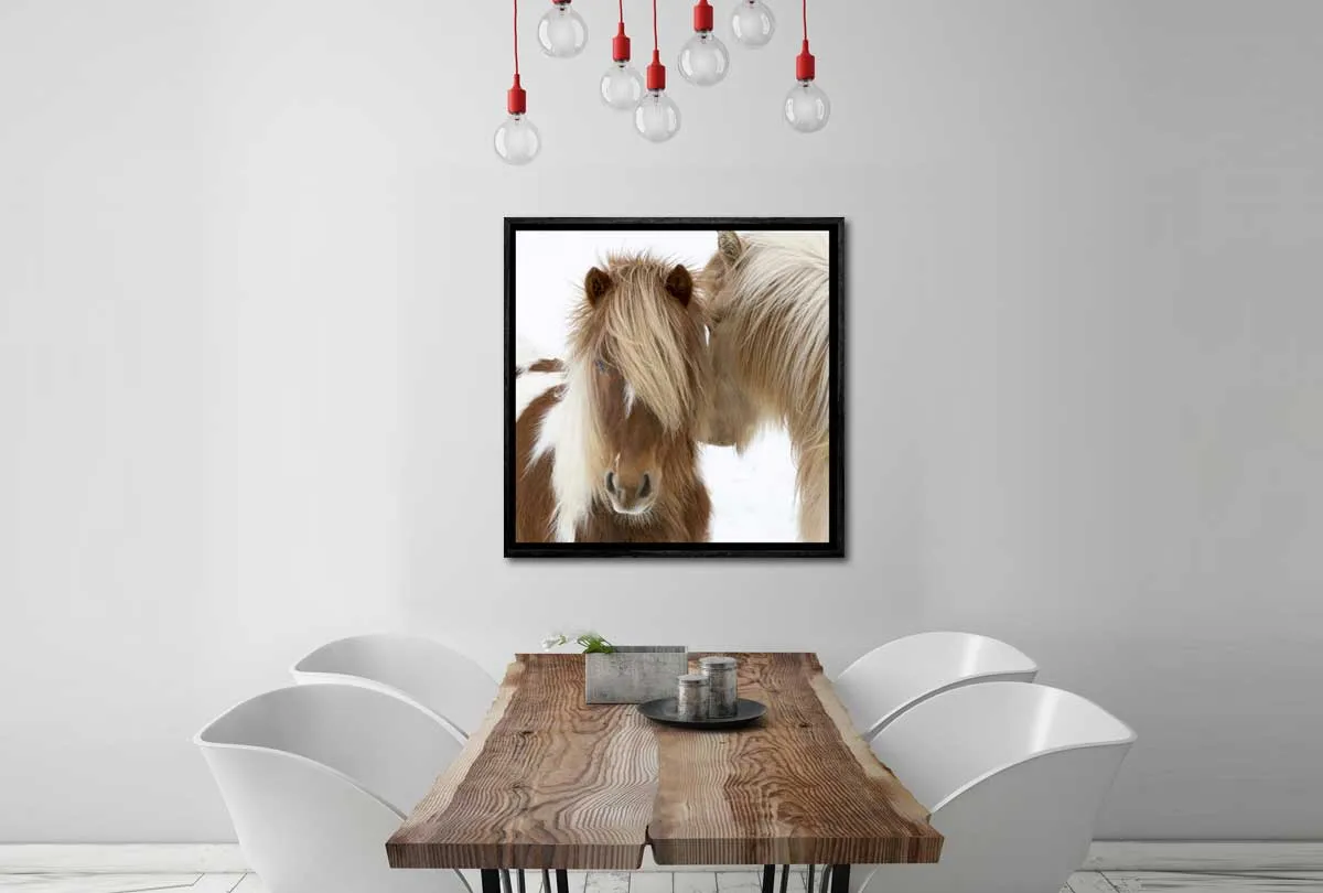 Icelandic Horses 3 | Canvas Wall Art Print