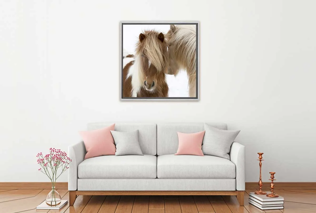 Icelandic Horses 3 | Canvas Wall Art Print