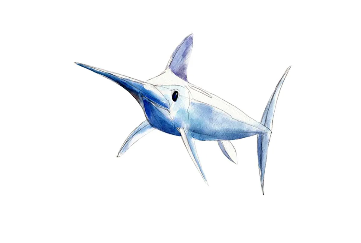 Marlin | Canvas Wall Art Print