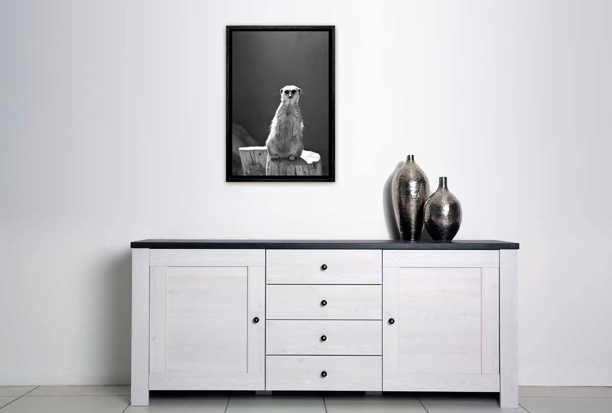 Meerkat Black and White | Canvas Wall Art Print