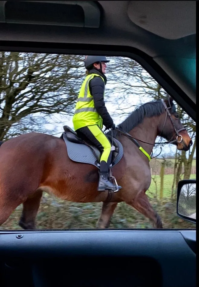 WINTER Thermal Reflective Horse Riding Leggings Tights- Black/Hi-Vis (Hi Viz) WATER RESISTANT