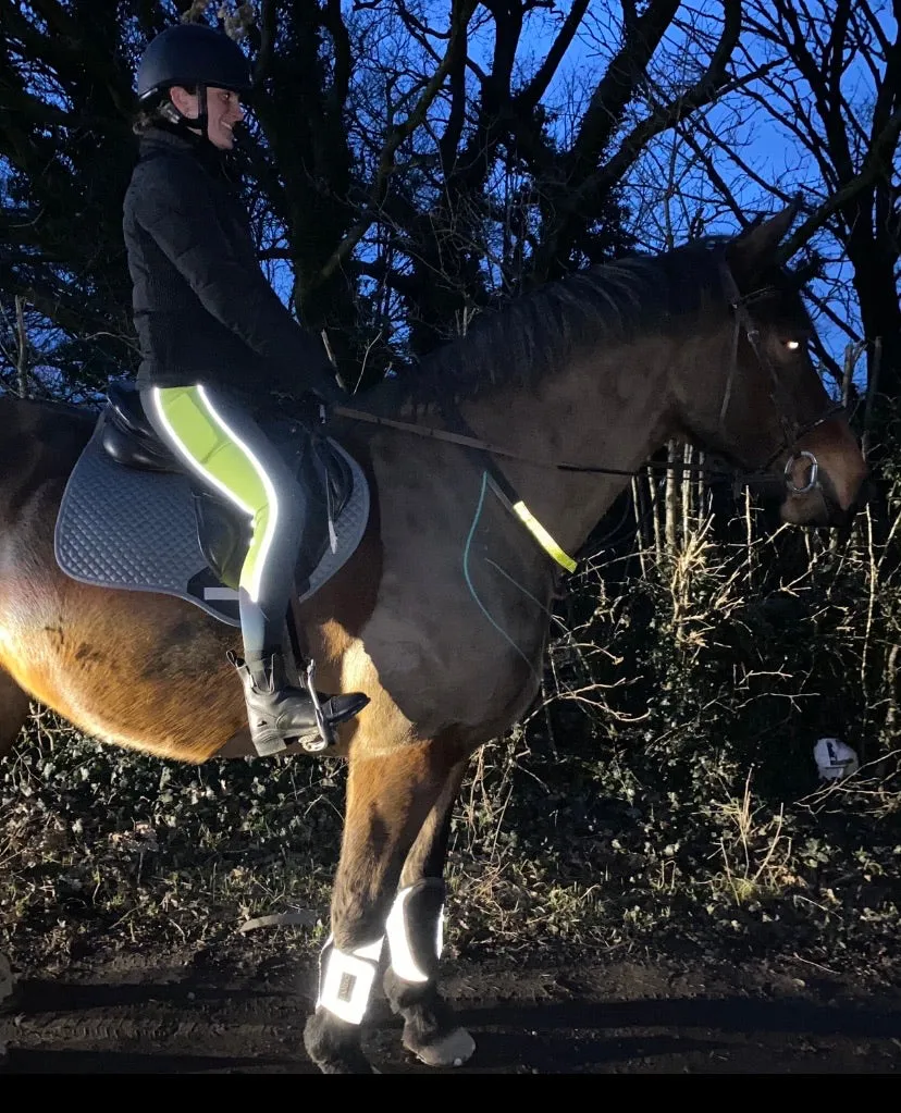 WINTER Thermal Reflective Horse Riding Leggings Tights- Black/Hi-Vis (Hi Viz) WATER RESISTANT